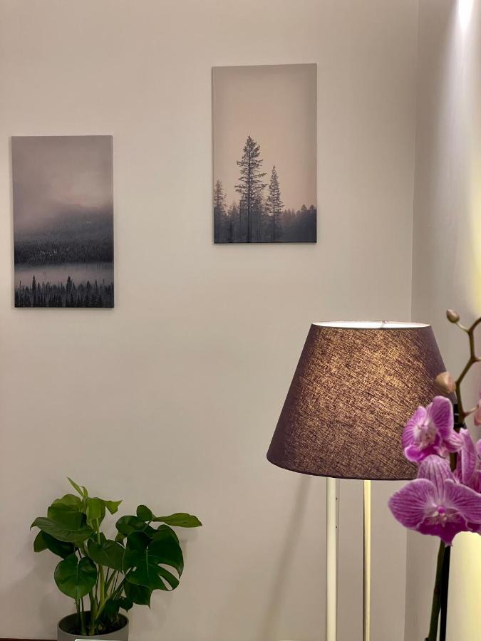 C&Y Apartments - Roma Prati - Luxury Double Studio With Kitchen Esterno foto